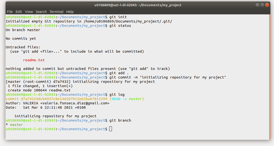 git terminal